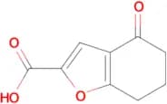 4-Oxo-4,5,6,7-tetrahydrobenzofuran-2-carboxylic acid