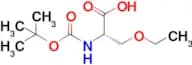 (S)-2-((tert-Butoxycarbonyl)amino)-3-ethoxypropanoic acid