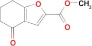 Methyl 4-oxo-4,5,6,7-tetrahydro-1-benzofuran-2-carboxylate