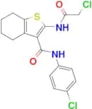 2-(2-Chloroacetamido)-N-(4-chlorophenyl)-4,5,6,7-tetrahydro-1-benzothiophene-3-carboxamide
