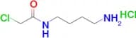 N-(4-Aminobutyl)-2-chloroacetamide hydrochloride