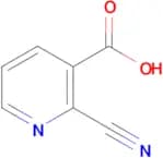 2-Cyanopyridine-3-carboxylic acid