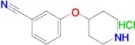 3-(Piperidin-4-yloxy)benzonitrile hydrochloride