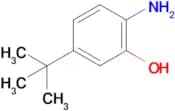 2-Amino-5-tert-butylphenol