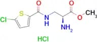 Methyl (S)-2-amino-3-(5-chlorothiophene-2-carboxamido)propanoate hydrochloride