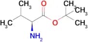 Tert-butyl L-valinate