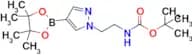 Tert-Butyl (2-(4-(4,4,5,5-tetramethyl-1,3,2-dioxaborolan-2-yl)-1H-pyrazol-1-yl)ethyl)carbamate