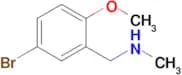 1-(5-Bromo-2-methoxyphenyl)-N-methylmethanamine