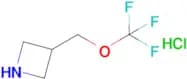 3-(Trifluoromethoxymethyl)azetidinehydrochloride