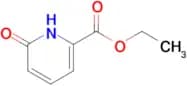 Ethyl 6-oxo-1,6-dihydropyridine-2-carboxylate