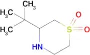 3-(Tert-butyl)thiomorpholine 1,1-dioxide