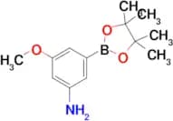 3-Methoxy-5-(4,4,5,5-tetramethyl-1,3,2-dioxaborolan-2-yl)aniline