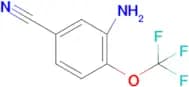 3-Amino-4-(trifluoromethoxy)benzonitrile