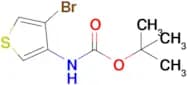Tert-Butyl (4-bromothiophen-3-yl)carbamate