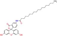 N-(3',6'-Dihydroxy-3-oxo-3H-spiro[isobenzofuran-1,9'-xanthen]-5-yl)stearamide