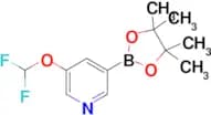 3-(Difluoromethoxy)-5-(4,4,5,5-tetramethyl-1,3,2-dioxaborolan-2-yl)pyridine