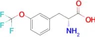 (R)-2-Amino-3-(3-(trifluoromethoxy)phenyl)propanoic acid