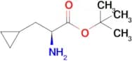 (S)-tert-Butyl 2-amino-3-cyclopropylpropanoate