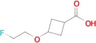 3-(2-Fluoroethoxy)cyclobutane-1-carboxylic acid