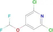 2,6-Dichloro-4-(difluoromethoxy)pyridine