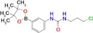 1-(3-Chloropropyl)-3-(3-(4,4,5,5-tetramethyl-1,3,2-dioxaborolan-2-yl)phenyl)urea