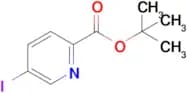 Tert-Butyl 5-iodopicolinate