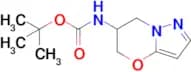 Tert-Butyl (6,7-dihydro-5H-pyrazolo[5,1-b][1,3]oxazin-6-yl)carbamate