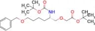 (S)-tert-Butyl 2-(6-(benzyloxy)-2-(tert-butoxycarbonylamino)hexyloxy)acetate