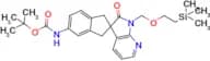 Tert-Butyl 2'-oxo-1'-((2-(trimethylsilyl)ethoxy)methyl)-1,1',2',3-tetrahydrospiro[indene-2,3'-pyrr…