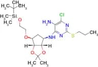 N4-((3aS,4R,6S,6aR)-6-(2-((tert-butyldimethylsilyl)oxy)ethoxy)-2,2-dimethyltetrahydro-3aH-cyclopen…
