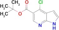 Tert-butyl 4-chloro-1H-pyrrolo[2,3-b]pyridine-5-carboxylate