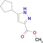 Methyl 5-cyclopentyl-1H-pyrazole-3-carboxylate