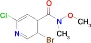 5-Bromo-2-chloro-N-methoxy-N-methylisonicotinamide