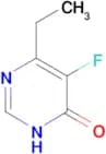 6-ethyl-5-fluoro-3,4-dihydropyrimidin-4-one