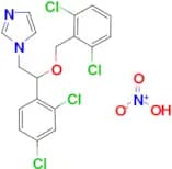 ISOCONAZOLE NITRATE