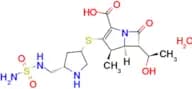 Doripenem monohydrate