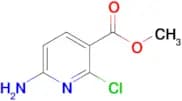 METHYL 6-AMINO-2-CHLORONICOTINATE