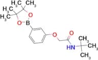N-TERT-BUTYL-2-[3-(4,4,5,5-TETRAMETHYL-1,3,2-DIOXABOROLAN-2-YL)PHENOXY]ACETAMIDE