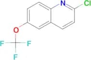 2-CHLORO-6-(TRIFLUOROMETHOXY)QUINOLINE