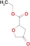 ETHYL 4-OXOTETRAHYDROFURAN-2-CARBOXYLATE