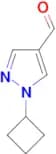 1-CYCLOBUTYL-1H-PYRAZOLE-4-CARBALDEHYDE