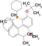 (3-(tert-Butoxy)-2',6'-diisopropyl-6-methoxy-[1,1'-biphenyl]-2-yl)dicyclohexylphosphane