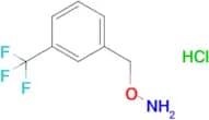 O-[3-(Trifluoromethyl)benzyl]hydroxylamine hydrochloride