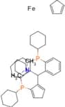 (S)-(-)-[(S)-2-Dicyclohexylphosphinoferrocenyl](N,N-dimethylamino)(2-dicyclohexylphosphinophenyl)m…
