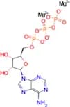 ATP (dimagnesium)