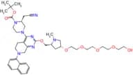 K-Ras ligand-Linker Conjugate 5