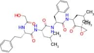 Enzyme-IN-1