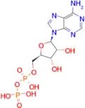 Adenosine 5'-diphosphate