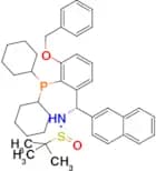 [S(R)]-N-[(S)-[3-(Benzyloxy)-2-(dicyclohexylphosphino)phenyl]-(2-naphthalenyl)methyl]-2-methyl-2-p…