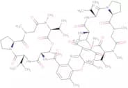 Actinomycin D